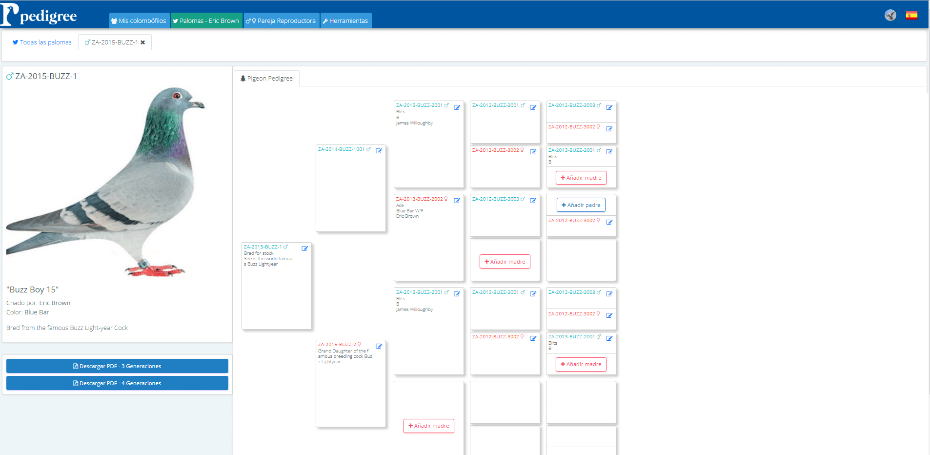 pigeon pedigree software